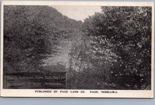 RPPC Peach Orchard F.H. Taylor Farm Page Nebraska Real Photo Postcard c1910 picture