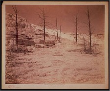 Mammoth Hot Springs,natural phenomena,national parks,Pulpit Terraces,WY,c1892 1 picture