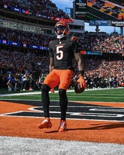 TEE HIGGINS 8x10 PHOTO #16 CINCINNATI BENGALS WM picture