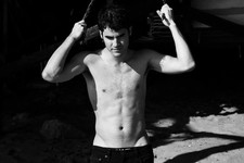 Darren Criss Wearing His Muscles 4x6 Picture Celebrity Print picture