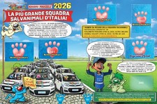 PUPPY FRIENDS 2026 OFFICIAL STICKERS PIZZARDS SAVE THE ANIMALS picture
