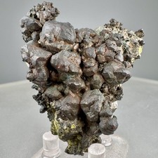 Native Copper: Wolverine Mine, Wolverine, Calumet Township, Michigan, USA picture