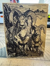 1978 John Wills Etched  Marble Plaque- Nature - Rams picture