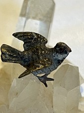 Lovely Antique Austrian Vienna Cold Painted Bronze Figurine Songbird 2910-1930s picture