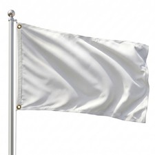 DMSE Solid White Flag, 2x3 Flag, UV Resistant, Fade Resistant Material with M... picture