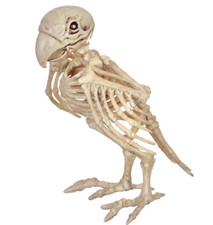 Skeleton Parrot Halloween Prop Gothic Pirate Decor Spooky Party  US picture