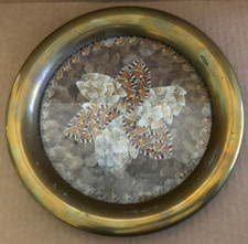 Vintage BUTTERFLY WING ART Round Brass Tray Under Glass Star pattern picture