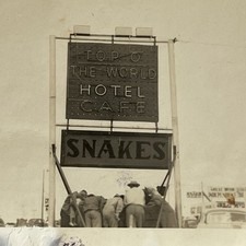 Vintage Snapshot Photograph Top O World Hotel Snake Exhibit Odd Men Looking picture