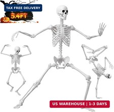5.4FT/165cm Halloween Life Size Human Skeleton with Full Body Posable Joint picture