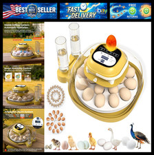 18 Egg Incubator for Hatching Eggs with Automatic Turning, View for Chicken picture
