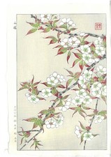 Kawarazaki Shodo [Yamazakura] / Japanese Ukiyo-e Woodblock Print/from Japan picture