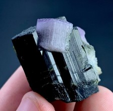 145 Carat Apatite Crystals On Tourmaline Specimen From Pakistan picture