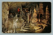  Lewis and Clark Cavern Yellowstone Glacier Park Montana MT Postcard picture