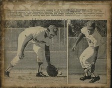 1970 Press Photo Washington Senators baseball player Curt Flood fields balls picture