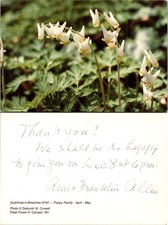 Dutchmans Breeches Postcard Petal Power Deborah M Crowell Unposted Handwritten picture