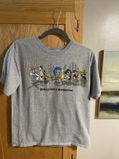 Six Flags Y2K Discovery Kingdom Grey Kids Short Sleeve Tee Looney Toons picture