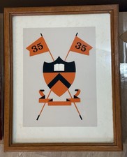 Vintage Princeton University Class of 1935 Framed Reunion Print picture