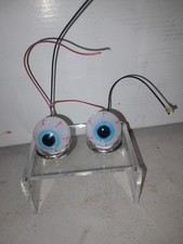 DISNEY IMAGINEERING ANIMATRONIC EYES REPLICA SPECIAL EVENT PROP picture