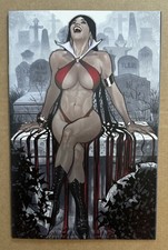 Vampirella Dark Reflections #1 Adam Hughes Variant picture