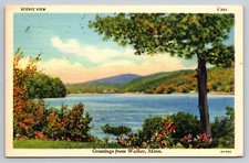 Walker Minnesota Scenic View Greetings Posted 1939 Linen Postcard picture