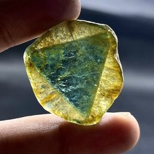 Rare 47 Ct Liddicoatite Tourmaline Slice | Natural Tri Color Tourmaline Crystal picture