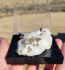 Rare Dendritic-Like Pure Native Silver on UV Calcite from Morocco - Natural picture