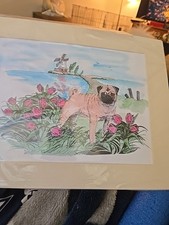 Pug Dog Print  11x14 picture