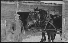 Woodstock Vermont 1939 Hired Man and Team Horse Barn Scene Putney Homesteads picture