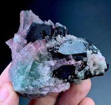 Bunch Of BiColor Tourmaline On Smoky Quartz Specimen From Afg 440 Carat picture
