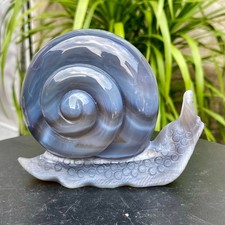 1.38LB Natural agate geode quartz crystal engrave snail skull healing gift decor picture