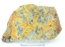 Polished Western Australian Crazy Lace Agate Slice Stone Slab Pilbara CL004 picture