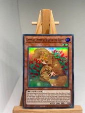 Kittytail, Mystical Beast Of The Forest - Super Rare 1st Ed CYAC-EN096 NM YuGiOh picture