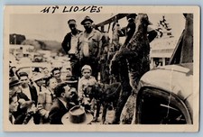Sweet Home Oregon OR Postcard RPPC Photo Cougar Mountain Lion Hunting c1910's picture