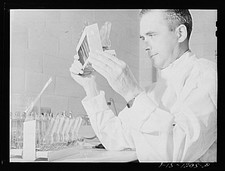 Photo:1950s Vaccine Sterility Test Laboratory Scientist Holding Vials picture