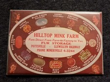 Vintage Celluloid Advertising Pocket Mirror - Hilltop Mink Farm - Pottsville, PA picture