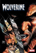Wolverine #27 (NM) picture