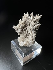 Rare Reticulated Cerussite From Tsumeb Mine, Namibia- collectors piece picture