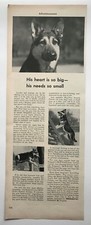 1953 Sergeant's Skip-Flea Scratch Powder Soap, Mennen Talcum Vintage Print Ads picture