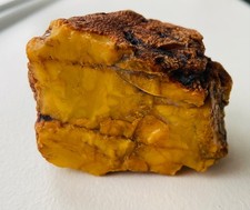 Amazing natural raw Baltic amber rough specimen picture