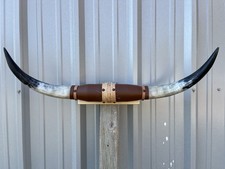 MOUNTED STEER HORNS 32 Inches LONGHORN POLISHED MOUNT BULL COW picture