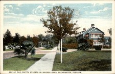 Clearwater FL Pretty Street The Asheville Post Card Co. c1910 Vintage Postcard picture