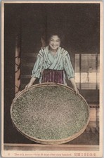 Vintage 1910s JAPAN Postcard 