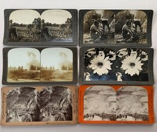 6 Assorted Stereoscope cards picture