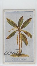 1917 Gallaher Plants of Commercial Value Tobacco Manila Hemp #51 1p9e picture