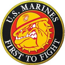 US MARINE CORPS Devil Dog Embroidered 10