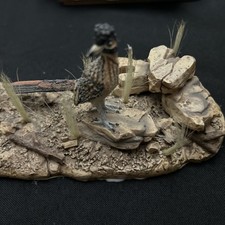 Vintage Desert Scene Roadrunner, very unique picture