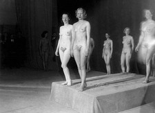 The competitors of Venus 1935 Historic Old Photo 1 picture