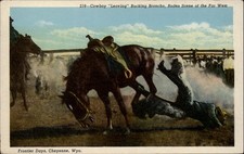 Wyoming Cheyenne Cowboy Bucking Bronco horse western ~ postcard sku833 picture
