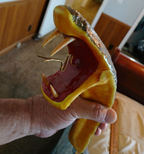King Cobra Custom Sword. One Of A Kind In The World Made By Kit Carson. picture
