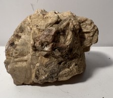 Colorado Tourmaline in Feldspar picture